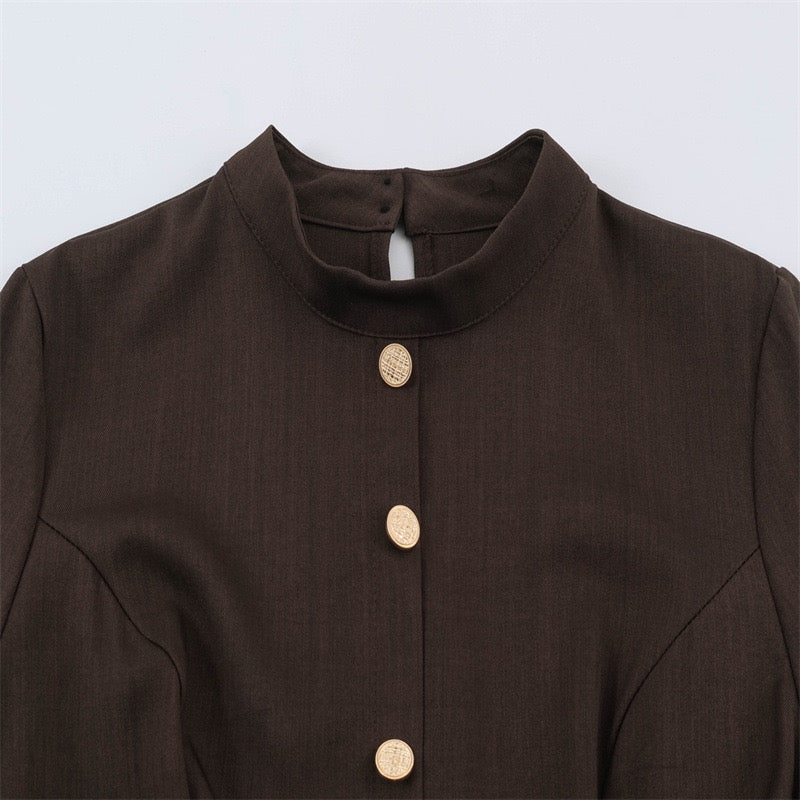 Brown Lux Dress
