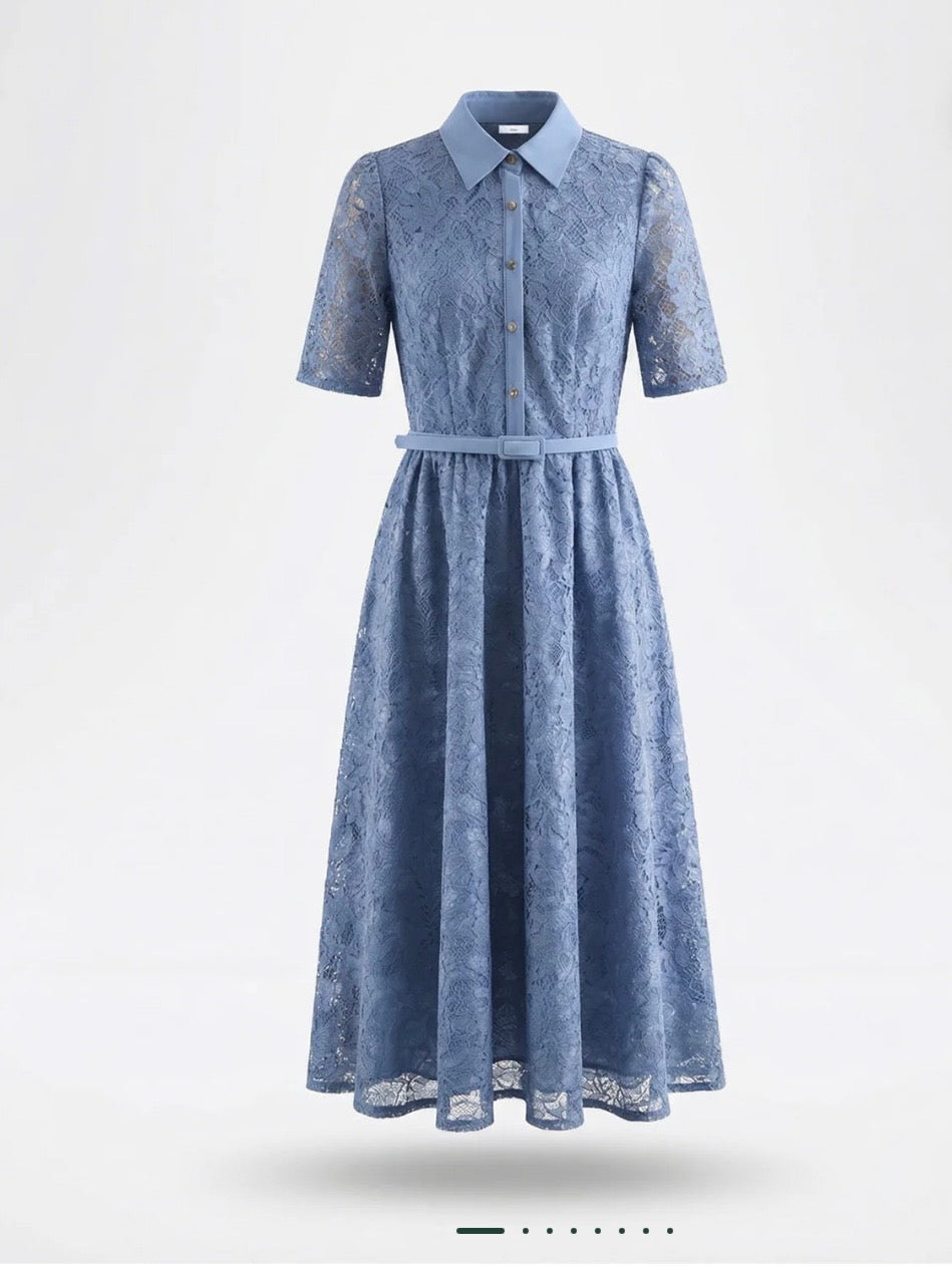 Blue Oyster Dress